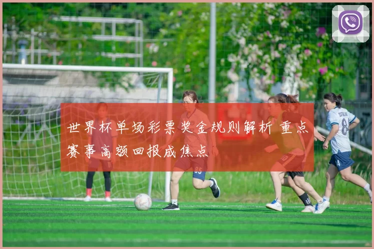 世界杯单场彩票奖金规则解析 重点赛事高额回报成焦点
