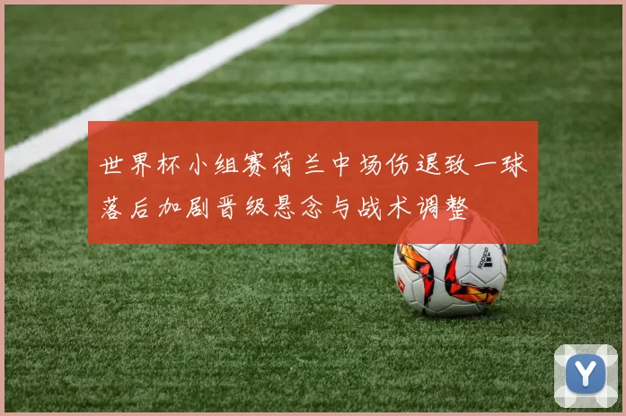 世界杯小组赛荷兰中场伤退致一球落后加剧晋级悬念与战术调整