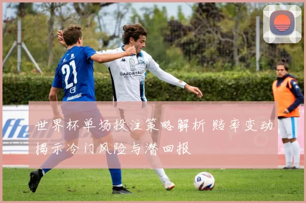 世界杯单场投注策略解析 赔率变动揭示冷门风险与潜回报
